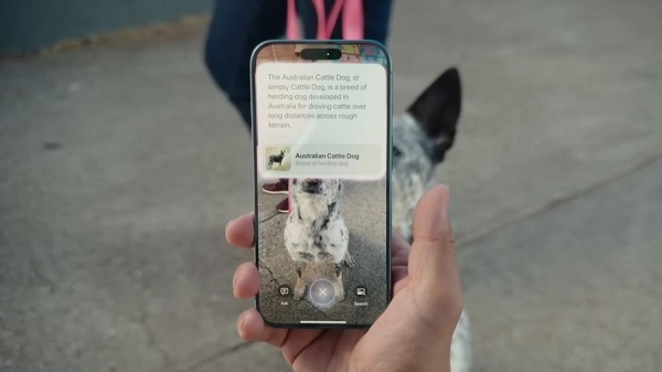 A cell phone with a screen on it

Description automatically generated