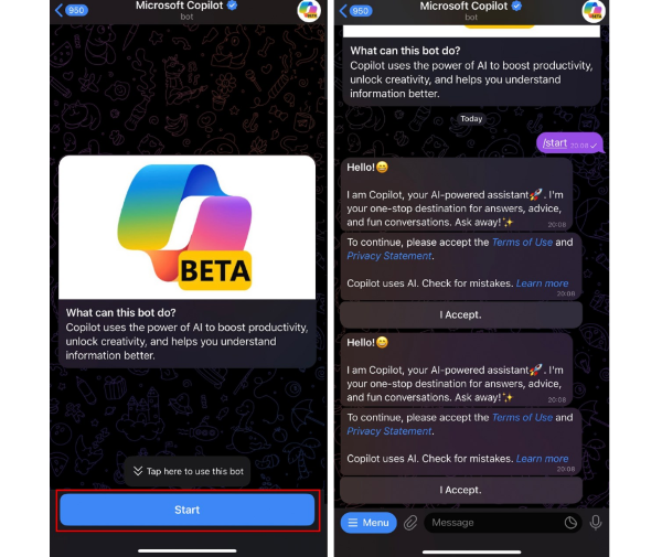 Nhấn vào nút "Start" để bắt đầu thực hiện trò chuyện.