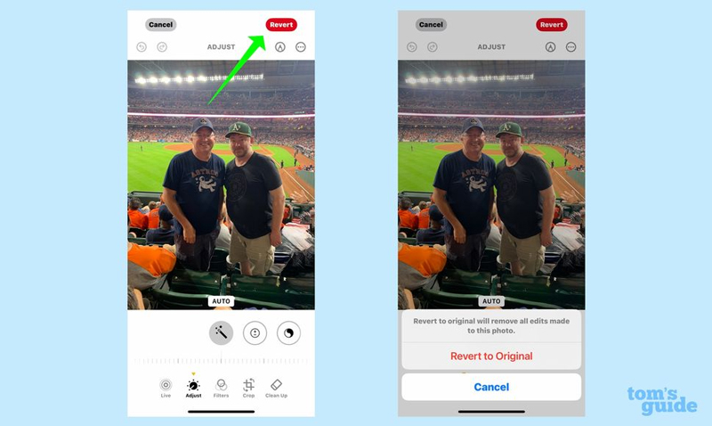 Cách xóa đối tượng trong ảnh với tính năng Clean Up trên iOS 18.1
