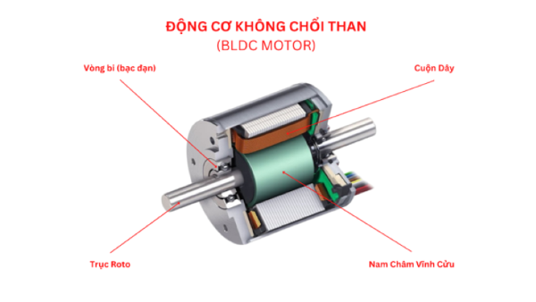 Động cơ không chổi than (brushless motor).