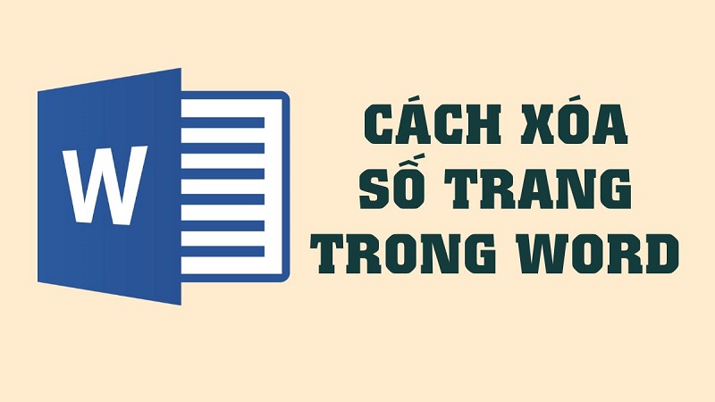 Hướng dẫn bạn 6 cách xóa số trang trong Word đơn giản