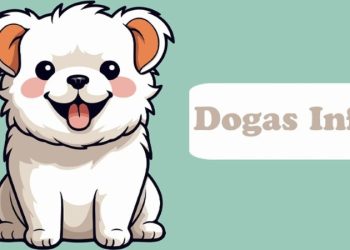 Dogas Info