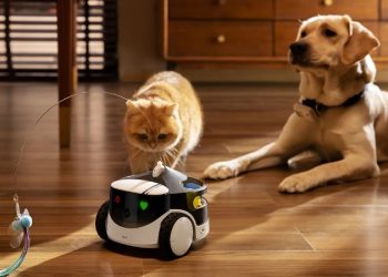 Robot chăm sóc thú cưng là gì?