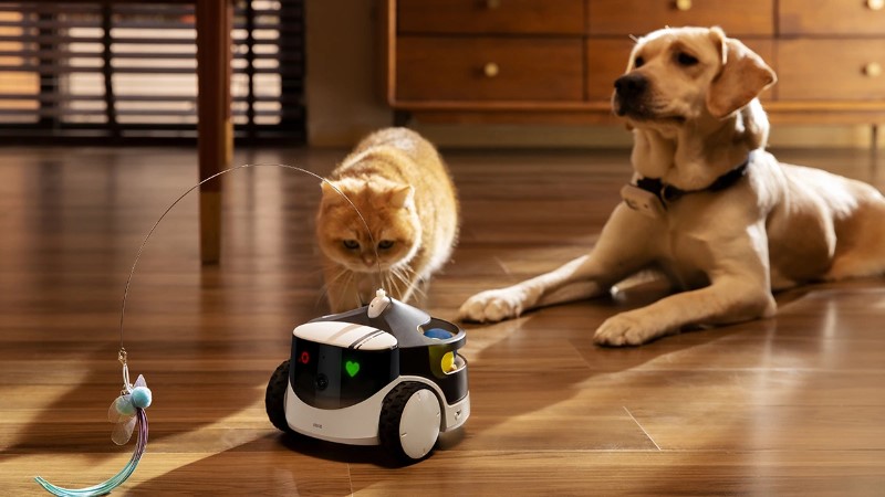 Robot chăm sóc thú cưng là gì?
