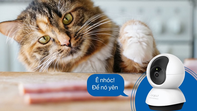 Danh sách các dòng camera trong nhà giá tốt tại Viettel Store, bạn đã biết?