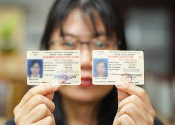 tra cứu giấy phép lái xe