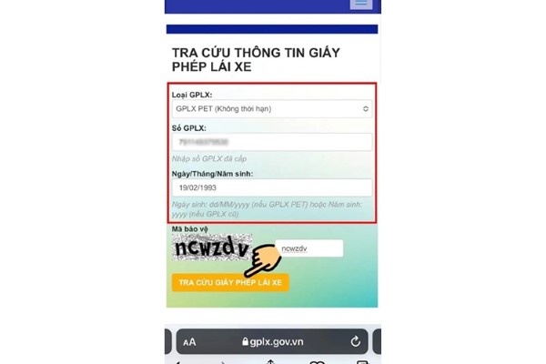 Nhấn nút tra cứu