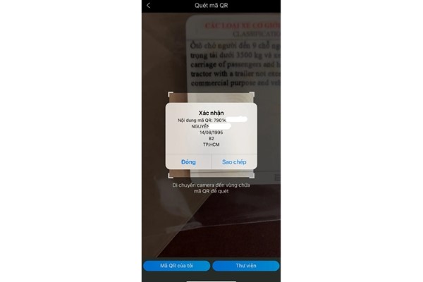 Thông tin hiển thị sau khi tra cứu