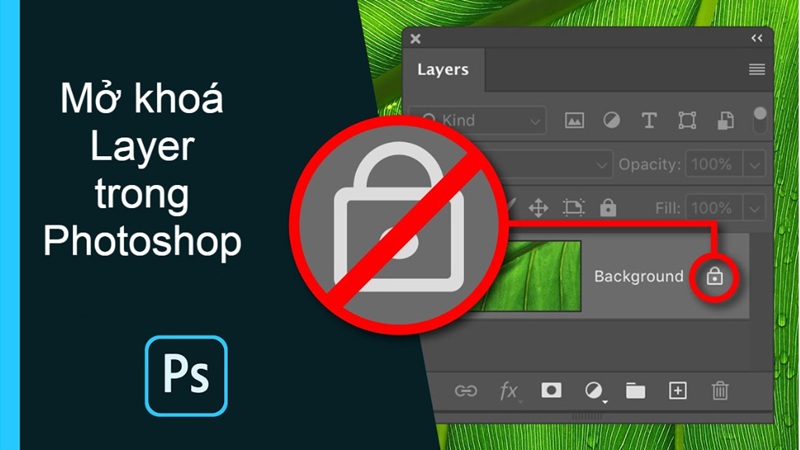 Cách mở layer trong Photoshop