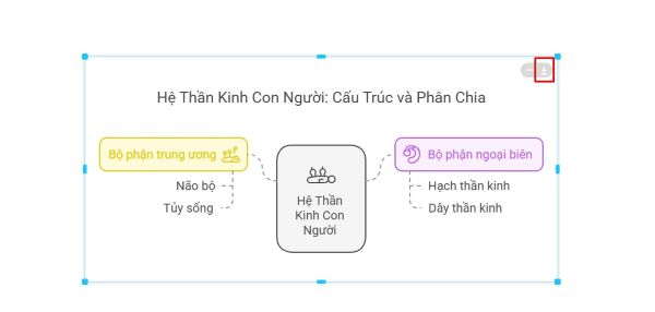 Nhấn nút mũi tên tải xuống