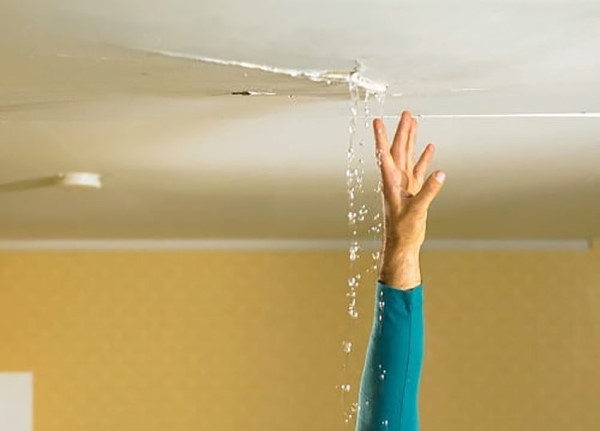 Bạn cần kiểm tra kỹ lưỡng các khu vực như mái nhà, cửa sổ, tường ngoài trời