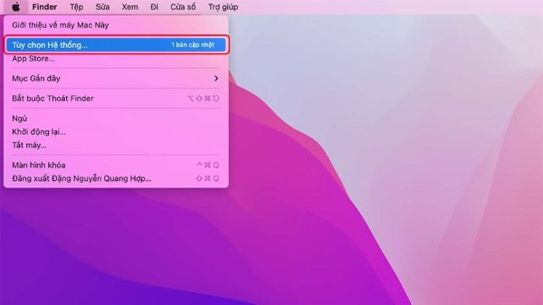 Vào System Preferences (Tùy chọn hệ thống)