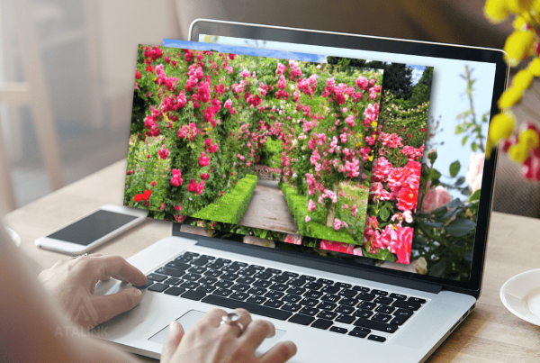 Các dòng laptop như Dell, HP hay Asus đều chạy trên hệ điều hành Windows