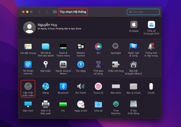 Mở "Tùy chọn hệ thống" và chọn "Cập nhật phần mềm" 