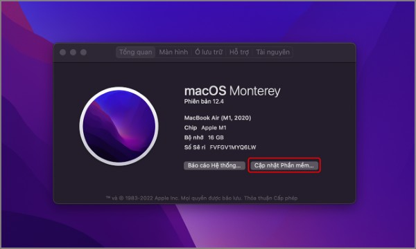 Nhấn Upgrade Now để tiến hành cập nhật