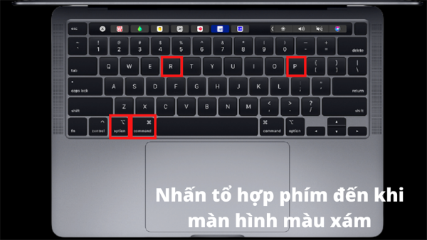 Nhấn giữ cùng lúc tổ hợp phím Command + Option + P + R