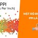 Mật độ điểm ảnh PPI là gì? Tầm quan trọng và cách tính toán PPI