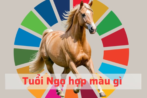 Việc lựa chọn màu sắc phù hợp với bản mệnh sẽ giúp thu hút nguồn năng lượng tích cực