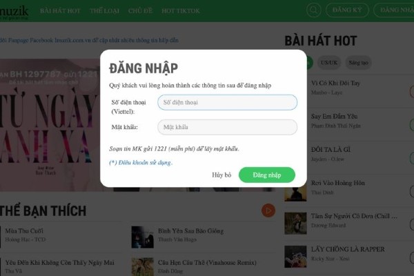 Nhập số điện thoại Viettel của bạn và mật khẩu đã nhận