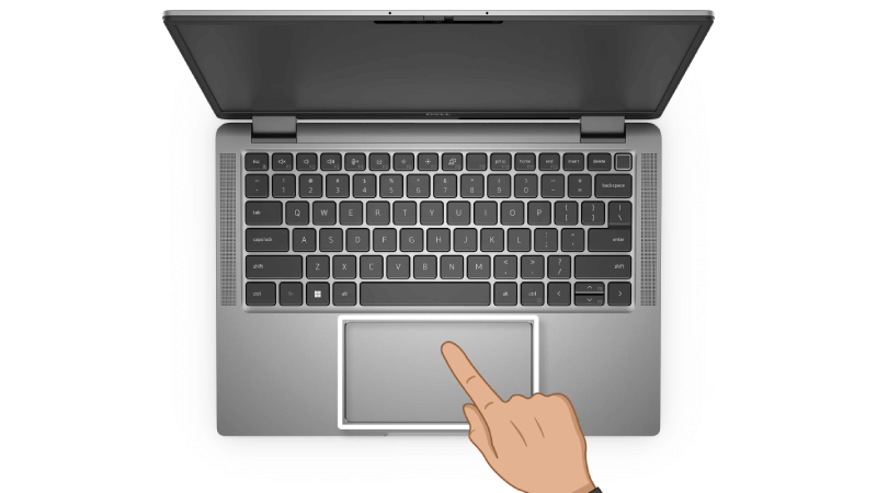 Xác định nguyên nhân chuột cảm ứng bị loạn