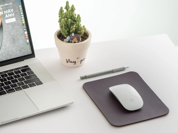 Vệ sinh chuột không dây và kiểm tra miếng lót