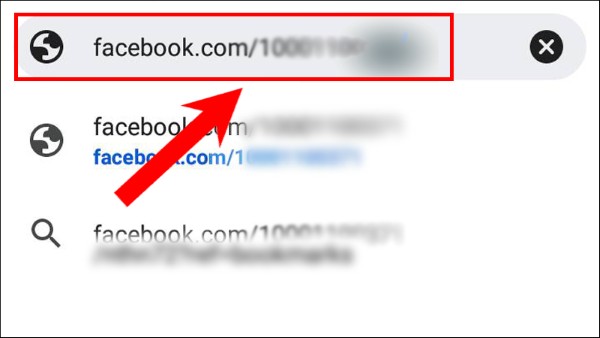 Dán các dãy số vào thanh địa chỉ của trình duyệt theo dạng fb.com/1000xxxxxxxxxx