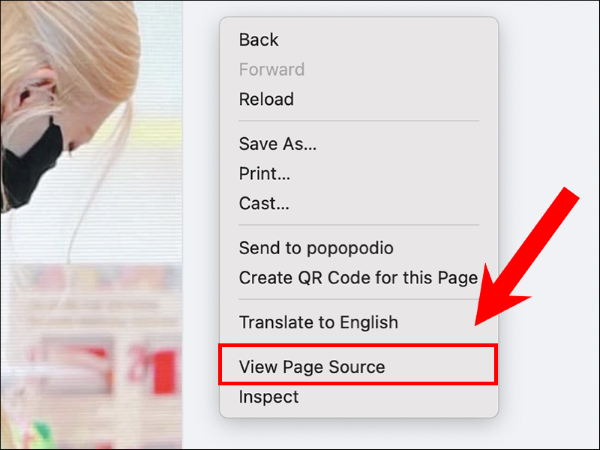 Chọn vào Xem nguồn trang (View Page Source)