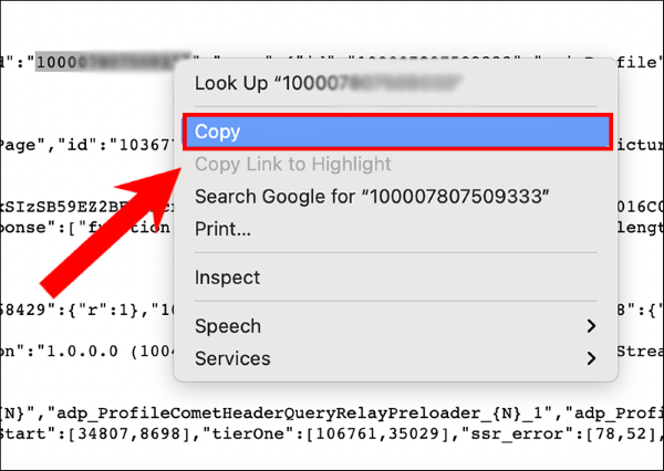 Sao chép các ID và dán chúng vào thanh địa chỉ