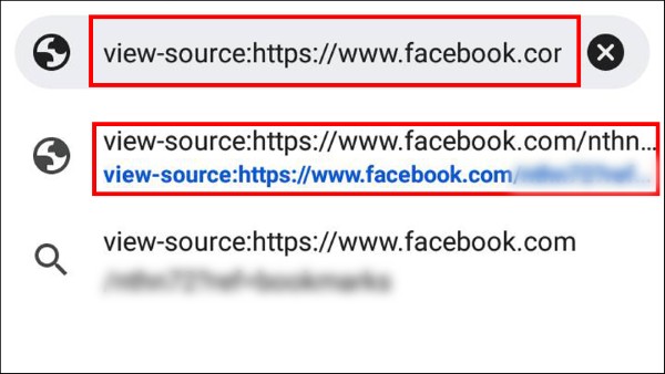 Chèn thêm dòng chữ view-source: vào trước địa chỉ url Facebook