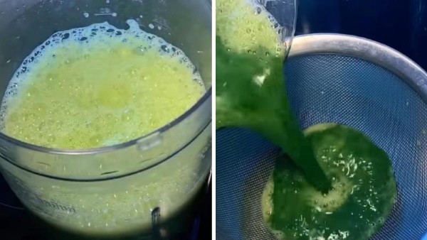 Cải bó xôi cho vào máy xay sinh tố cùng 1.5 lít nước và lọc lấy phần nước rau