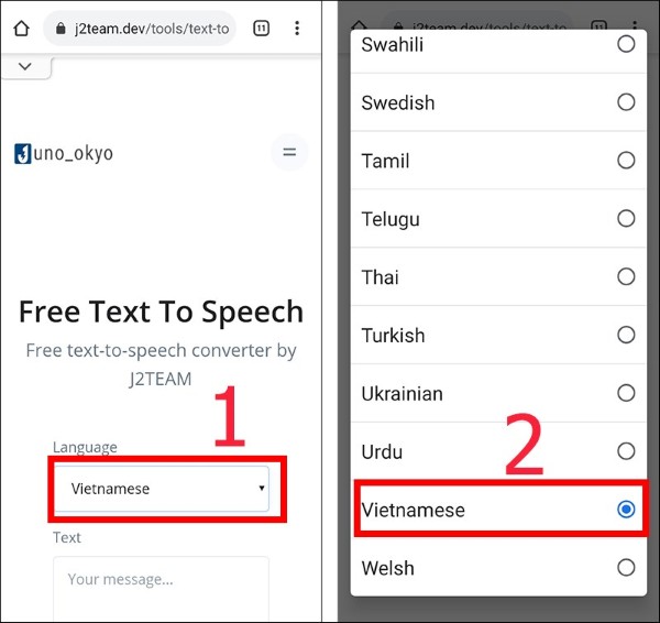 Chọn ngôn ngữ Vietnamese tại mục Language