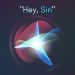 không có siri trong cài đặt