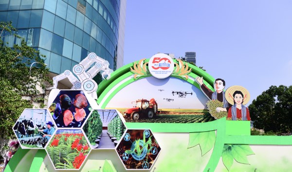 Các mô hình nghệ thuật trưng bày trên các tuyến phố