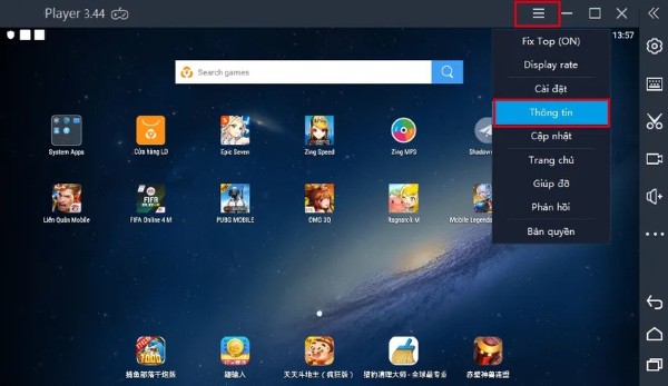 Chọn mục Thông tin và tìm đến mục “OpenGL Version”