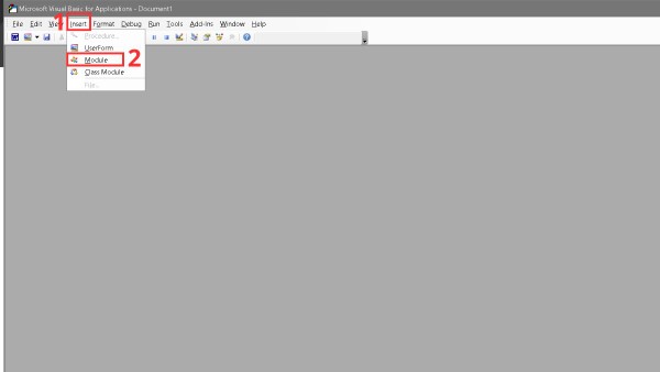 Vào menu Insert và chọn Module để tạo một mô-đun mớ