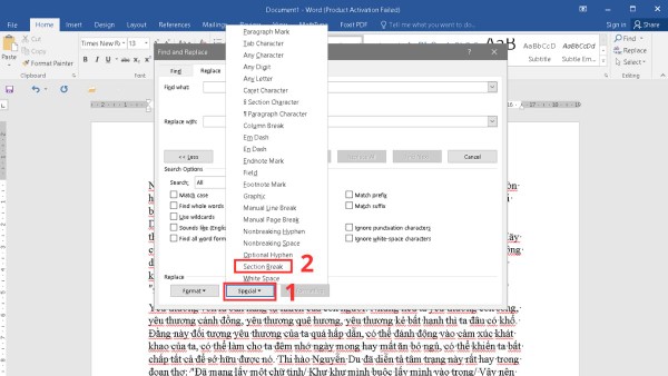 Chọn nút "Special", sau đó chọn "Section Break" trong danh sách