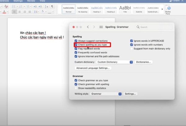 Bỏ chọn các tùy chọn tại phần Spelling