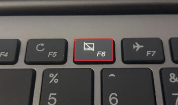 Hãy kiểm tra xem người dùng có vô tình tắt touchpad không 