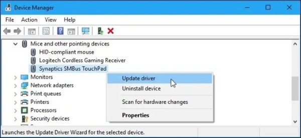 Chọn Update driver cho thiết bị touchpad