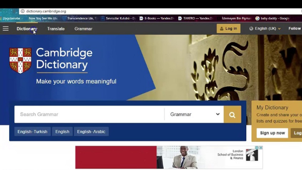 Cambridge Dictionary