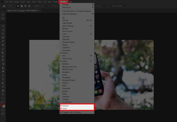 Đánh dấu tick vào 2 mục Tools và Options