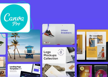 Cách dùng Canva Pro miễn phí