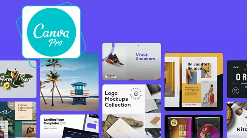 Canva Pro là phiên bản nâng cấp với đầy đủ các tính năng cao cấp