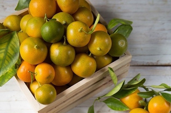 Chọn nguyên liệu làm món tắc xí muội