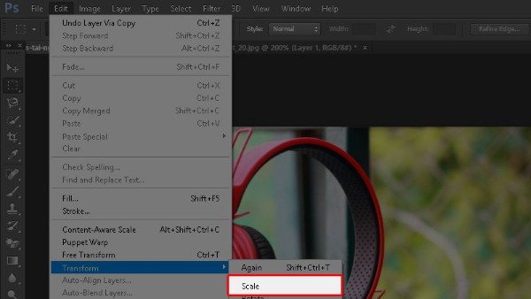 Nhấn vào Edit → chọn Transform → chọn Scale