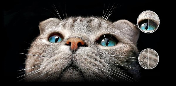 Tivi TCL QD-Mini LED 98C755 tích hợp nhiều công nghệ trí tuệ nhân tạo