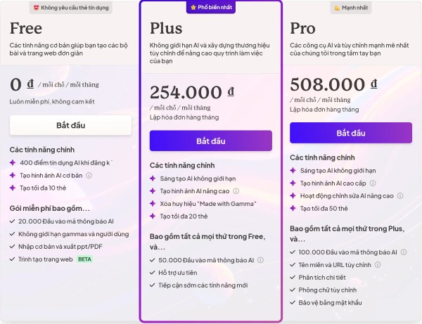 Gamma hiện cung cấp 3 gói dịch vụ phù hợp nhu cầu