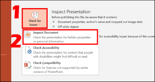 Chọn Check for Issues → Inspect Document
