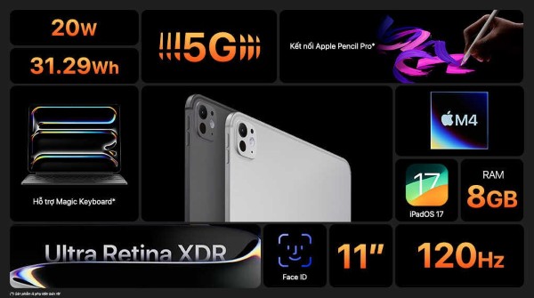 iPad Pro M4 11 inch Standard Glass WiFi 256GB