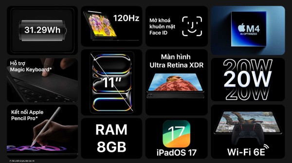 iPad Pro M4 11 inch Standard Glass WiFi + 5G 1TB